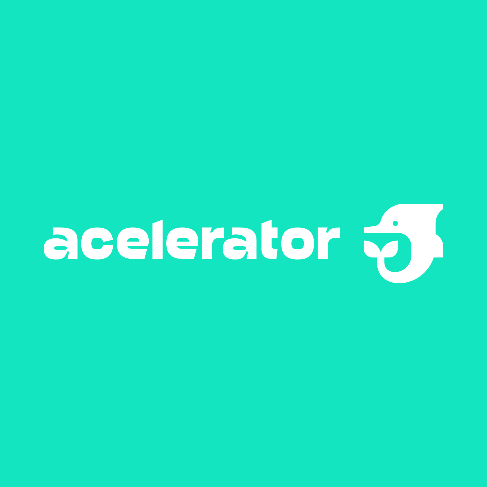 Acelerator